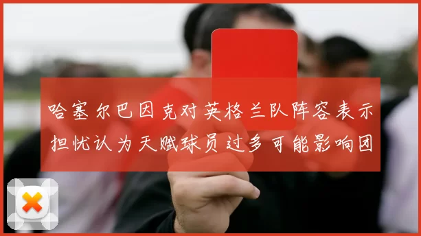 哈塞尔巴因克对英格兰队阵容表示担忧认为天赋球员过多可能影响团队合作